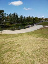 Matsubara Ayase River Park-草加市必去景点
