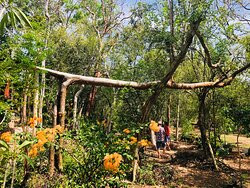 Chichimila酒店住宿-La Flor Casa Boutique