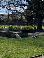 Titchfield Park-Mansfield必去景点