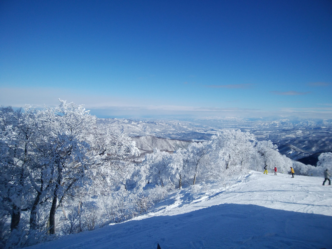 Nozawa Onsen Tourist Information Center-野泽温泉村必去景点