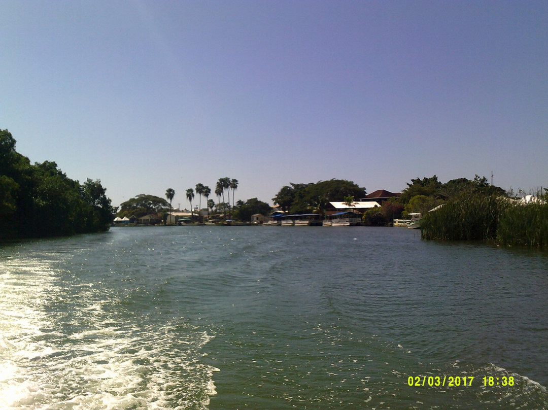 J. Charles Swaby's Black River Safari-Black River必去景点