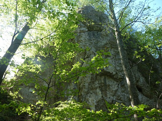 Rifenstein Sagenweg-Reigoldswil必去景点