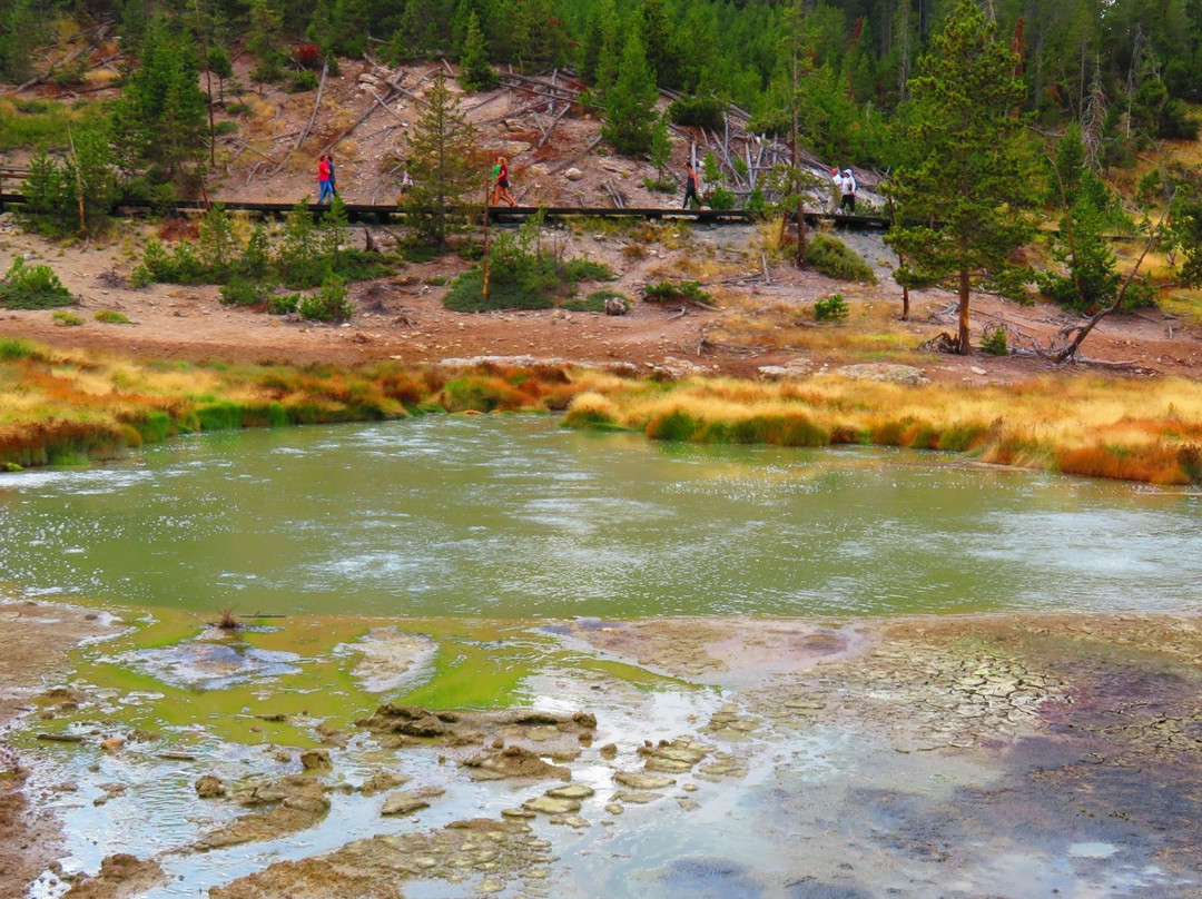 Cody Shuttle Service and Yellowstone Tours景点图片