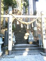Nakatake Shrine景点图片