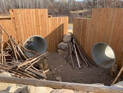Woodland Trails Regional Park景点图片