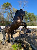 Wild Stallion Vineyards-斯普林必去景点