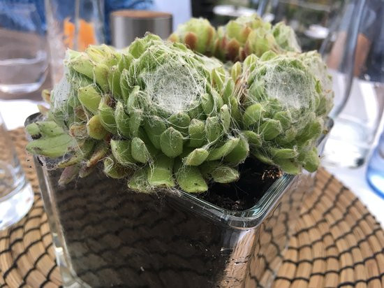 Strandhotel Am Weissensee主图