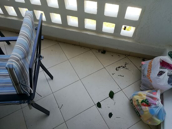 Porfi Beach Hotel主图