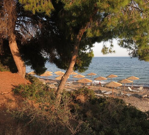 Bianco Olympico Beach Resort-泳池