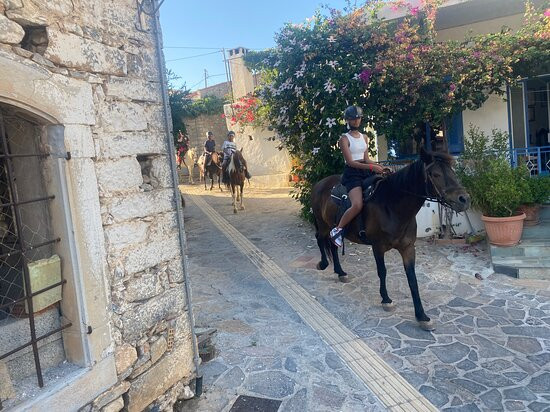 Fourni Horses-Fourni必去景点