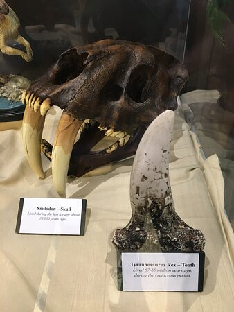 Science Museum of Western Virginia & Hopkins Planetarium-罗阿诺克必去景点