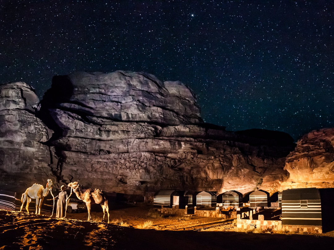 Wild Wadi Rum Camp