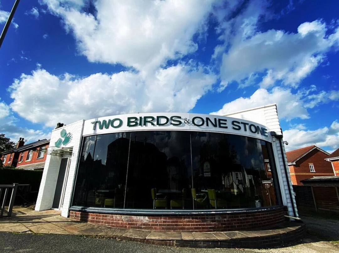 Two Birds One Stone