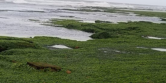 Pousada Restinga主图