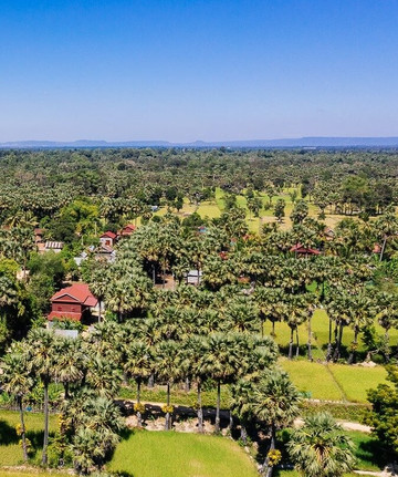 Treeline Urban Resort主图