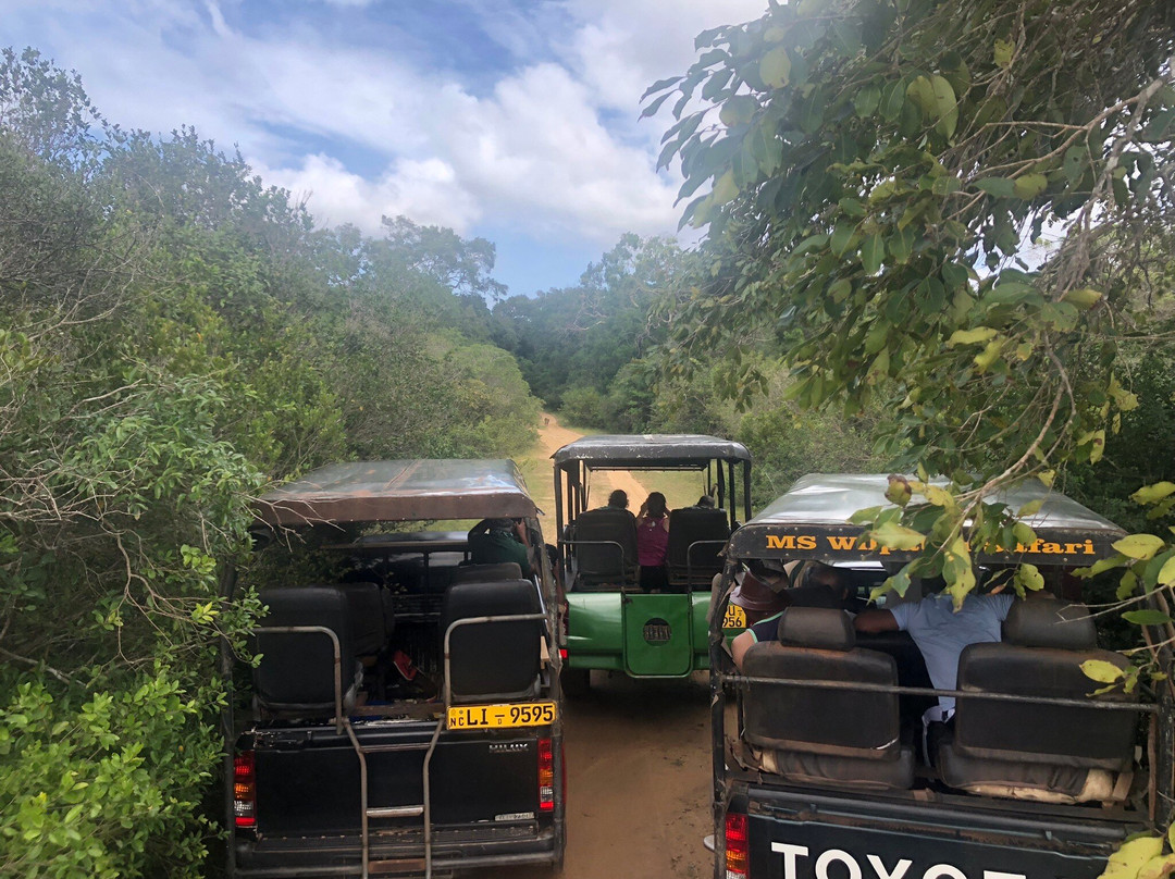 Willpathu National Park Jeep Safari Service景点图片
