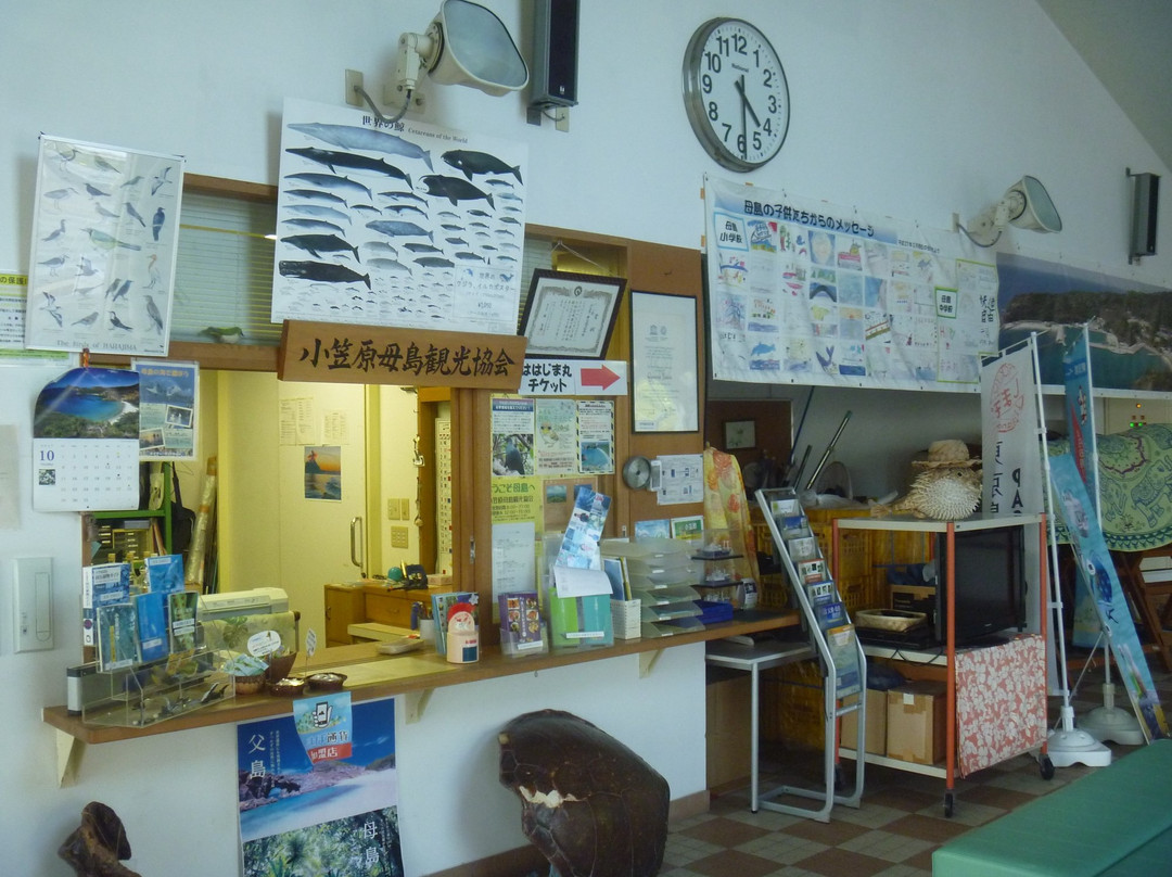 Ogasawarahahajima Tourism Association-Haha-jima必去景点