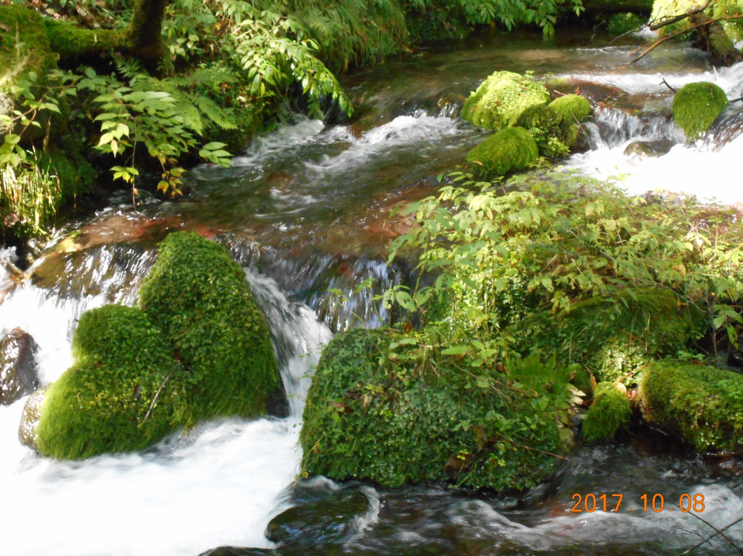 Shojinsawa Spring