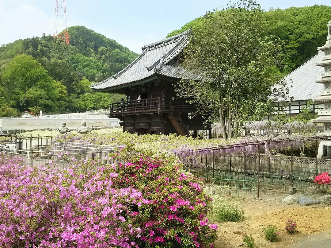 Tyosenji Temple-本庄市必去景点