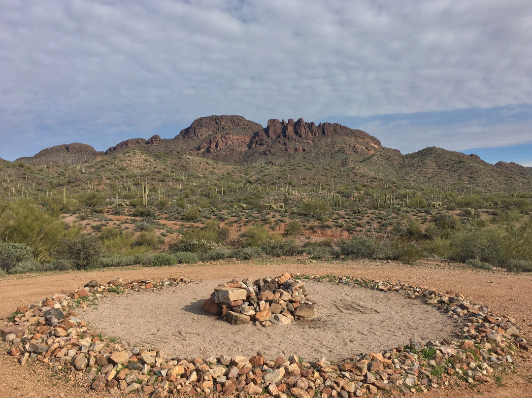 Wickenburg旅游攻略图片