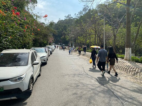 文曾路怪坡-厦门市必去景点