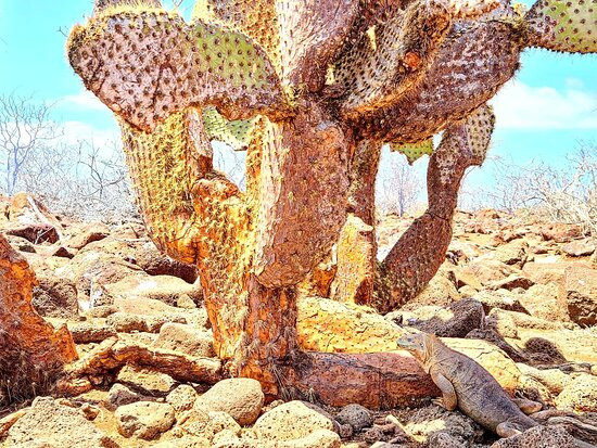 Santa Cruz Island-圣克鲁斯必去景点
