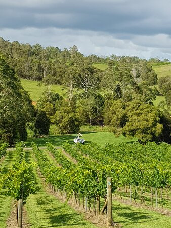 Bekaa Air-布里斯班必去景点