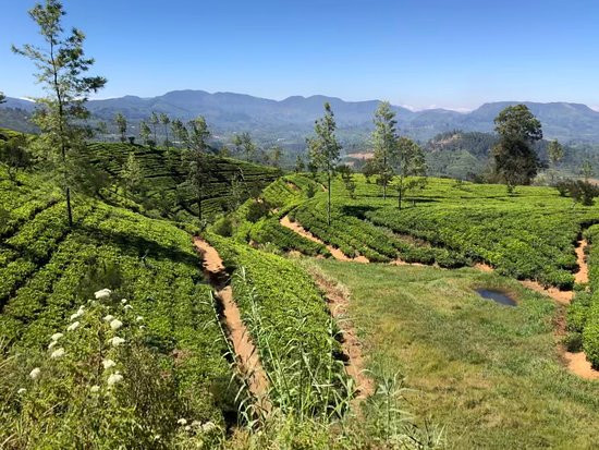 Train Tours-埃勒必去景点