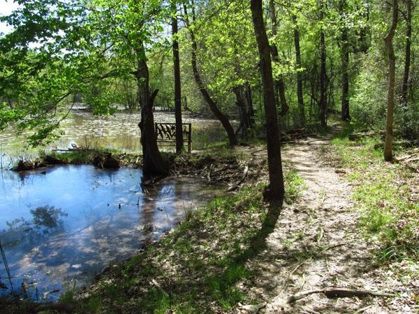 Sandy Creek Nature Center景点图片