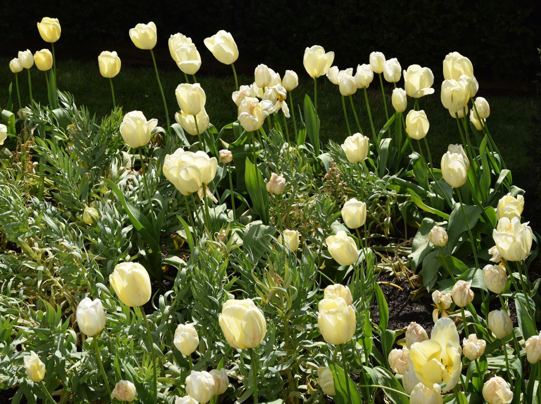 England Plus Tours-福克斯通必去景点