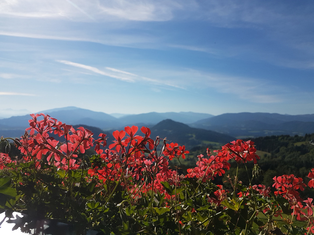 Jausenstation Stubinger