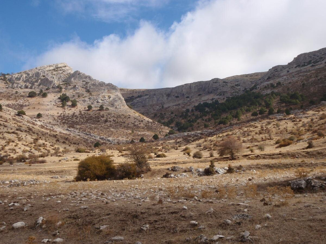 Sendero Cortijo del Nacimiento - Prados del Conde景点图片