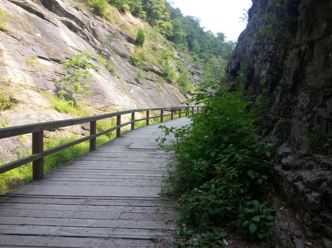 Cumberland旅游攻略图片