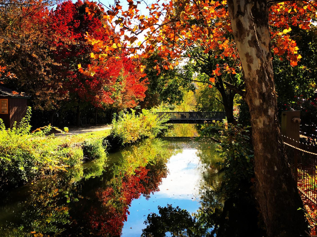 Lambertville旅游攻略图片