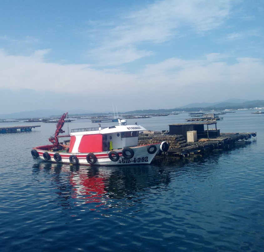 Cruceros de Arosa-格罗韦必去景点