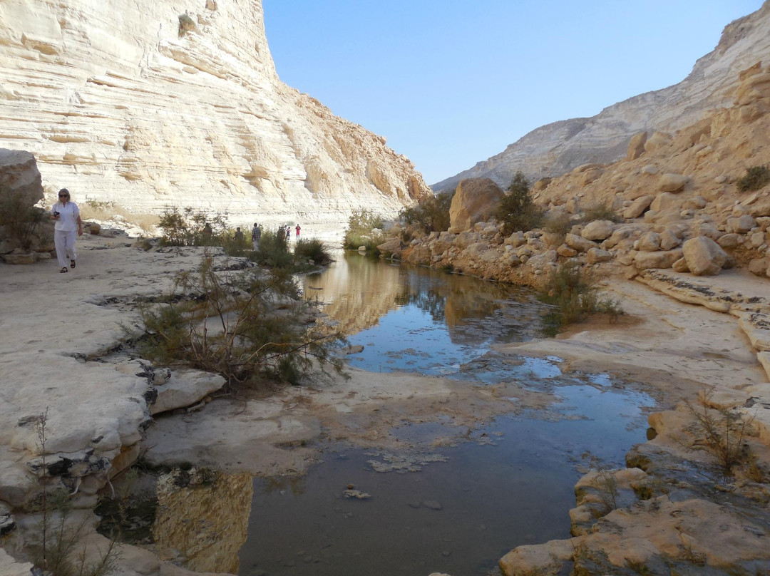 null-米茨佩拉蒙