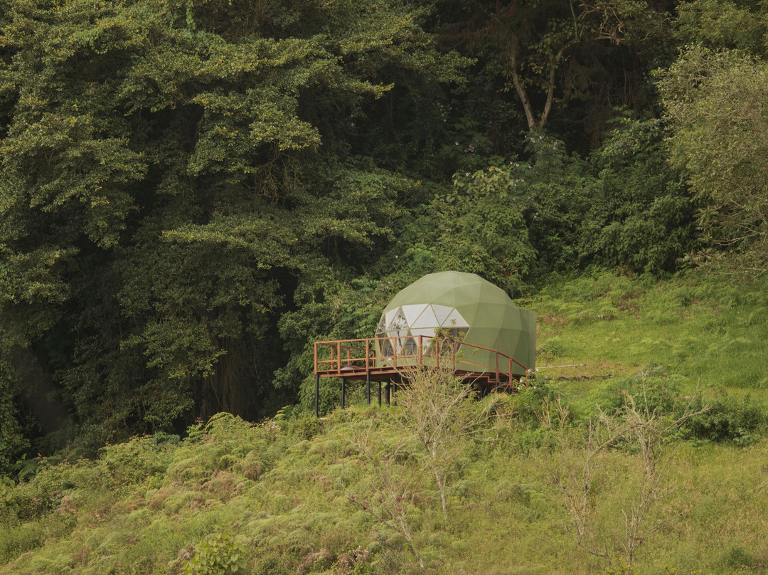 Glamping Cúspide