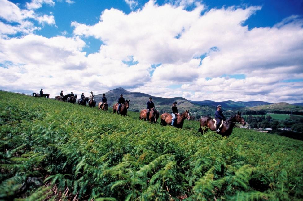 Brennanstown Riding School-布瑞必去景点