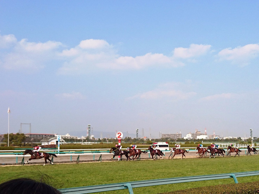 Hanshin Horse Racetrack景点图片