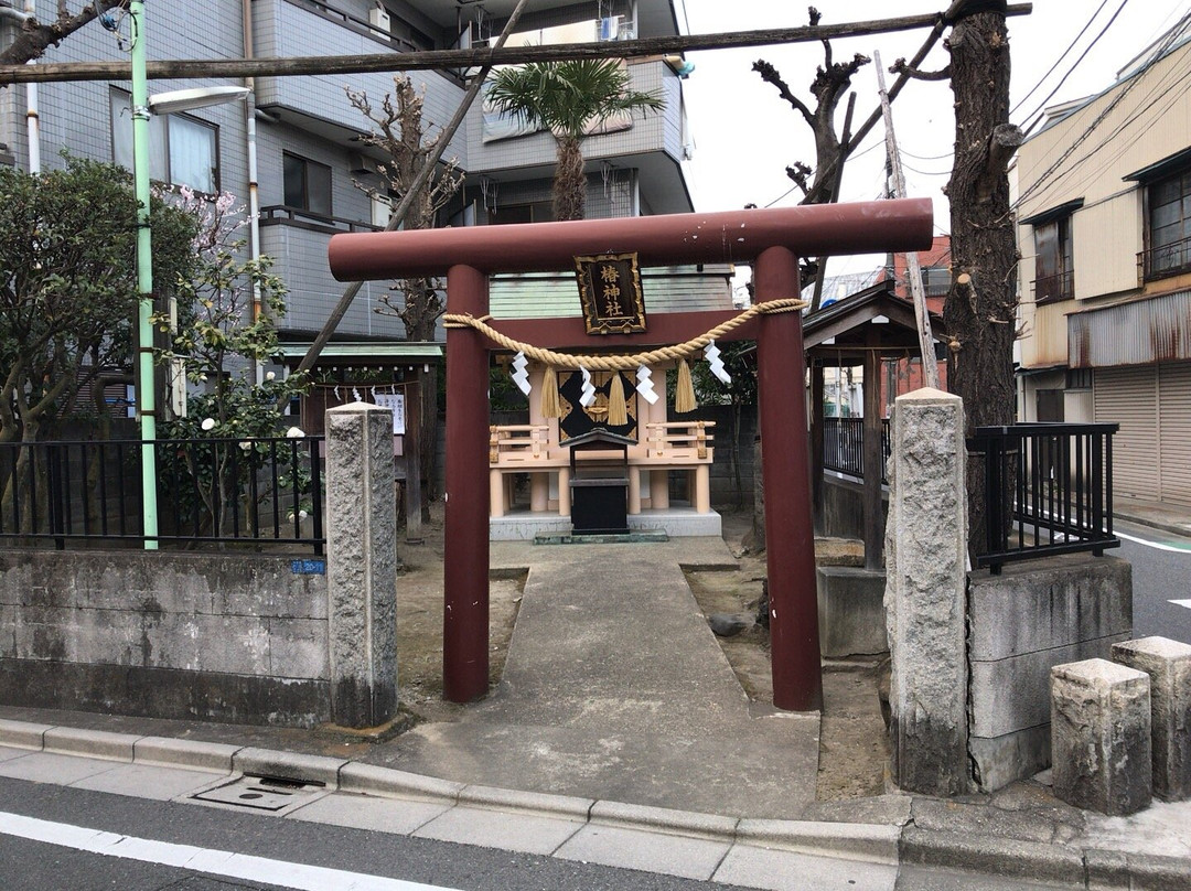 Tsubaki Shrine景点图片