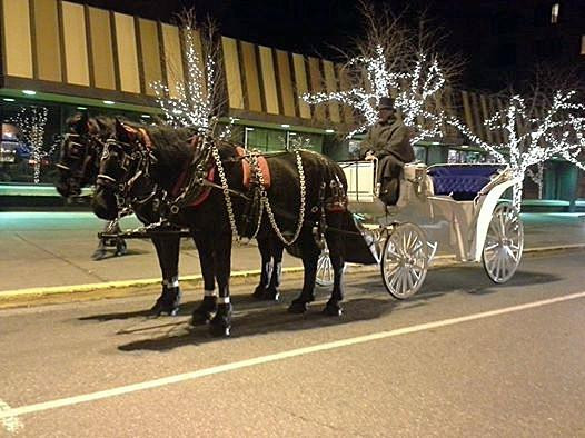 Horse Drawn Carriage Co., LLC景点图片