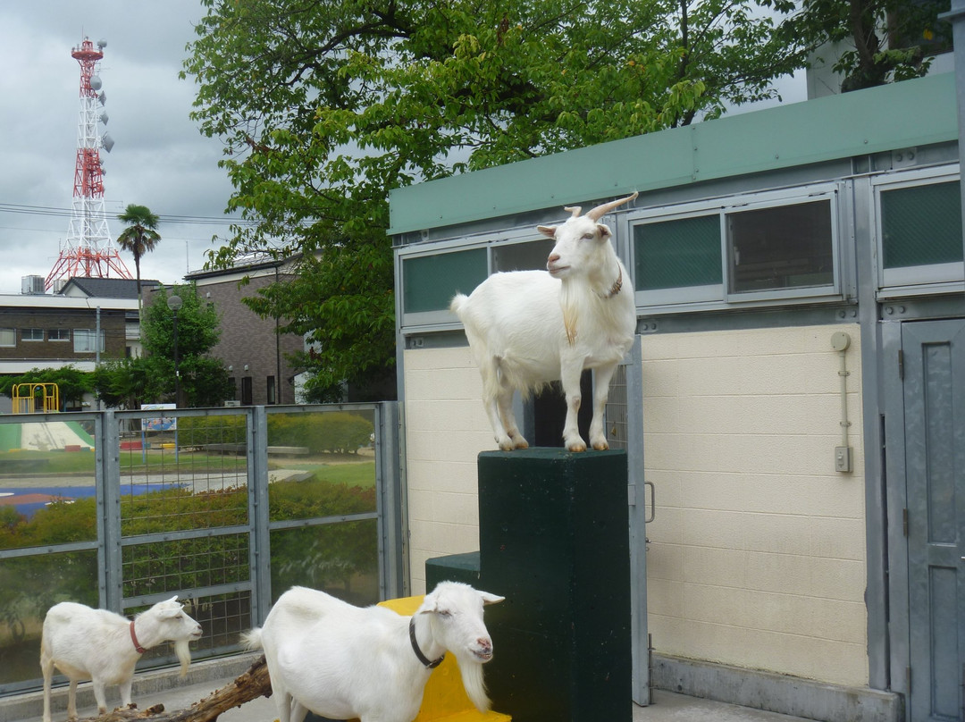 Shinkyoji Park-鸟取市必去景点