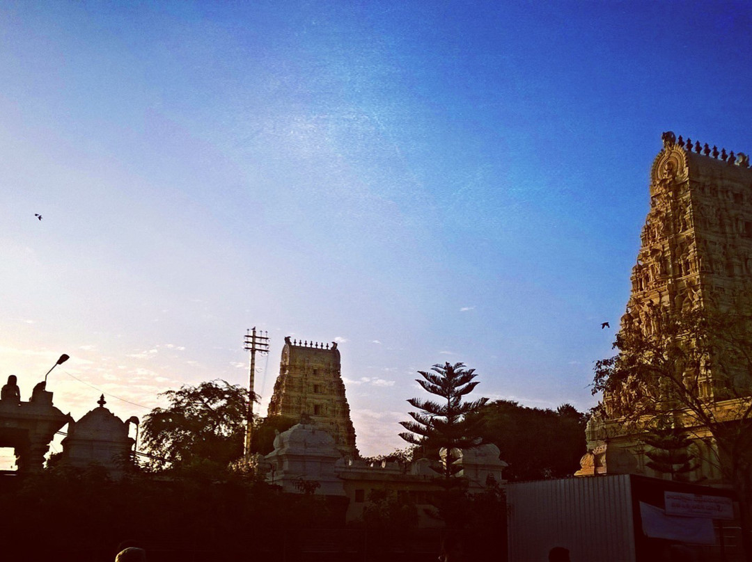 Dwaraka Tirumala Temple景点图片