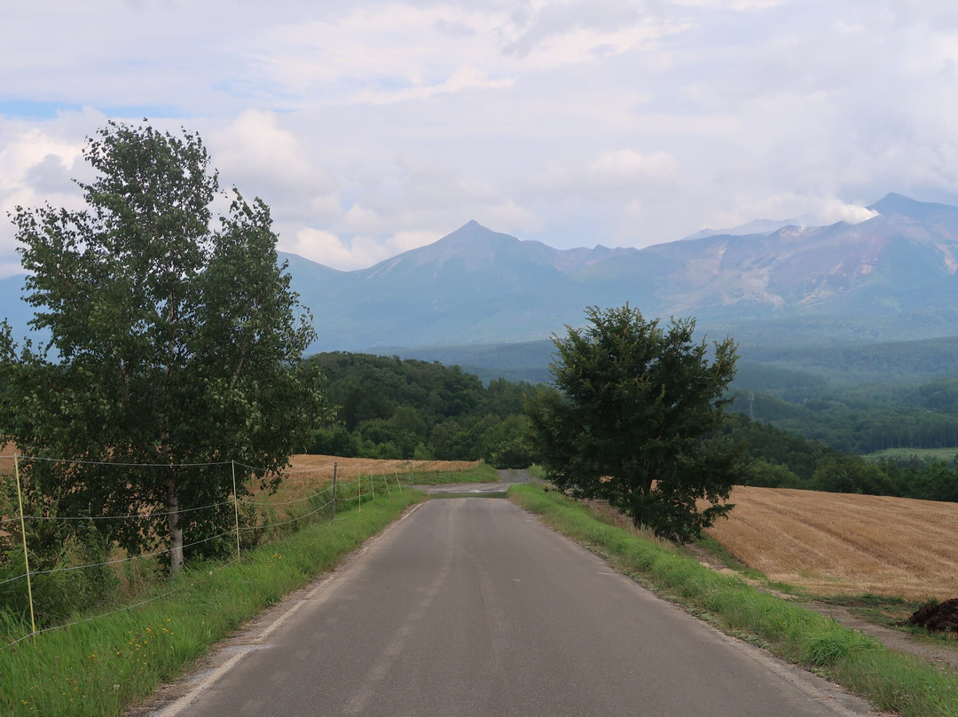 Asahino Yamabiko Highlands-上富良野町必去景点