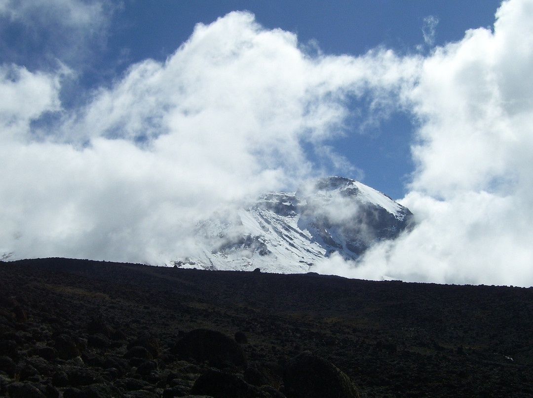 Booking Kilimanjaro Tanzania景点图片