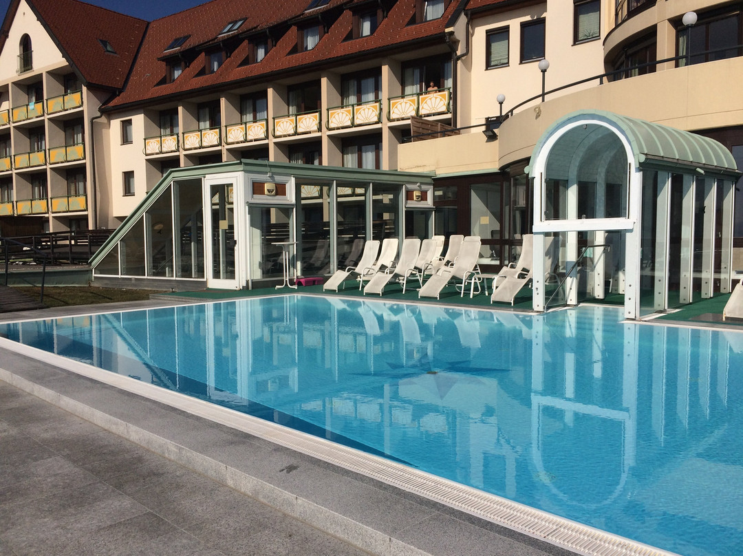 Wilfinger Bio Thermen Hotel主图