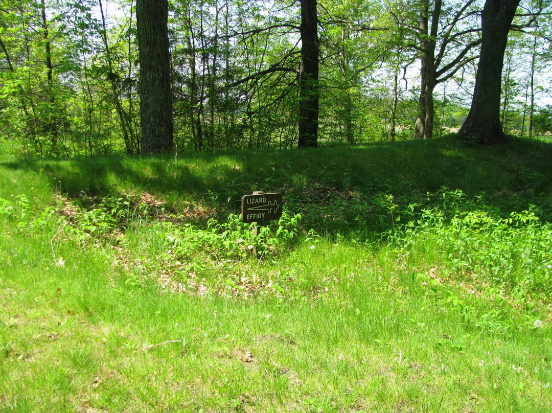 Lizard Mound County Park景点图片