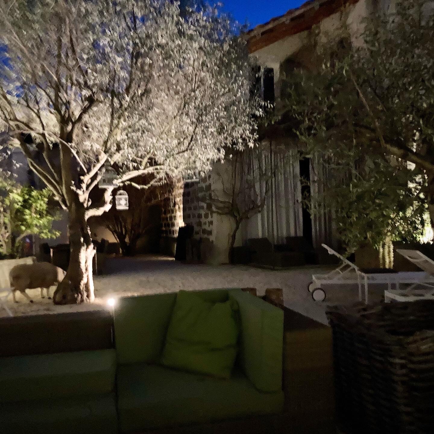 Mas à l'Improviste-官方