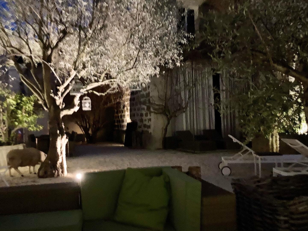 Mas à l'Improviste主图