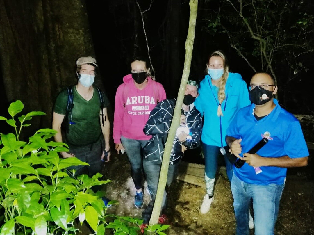 Kinkajou Night Walk Tour景点图片